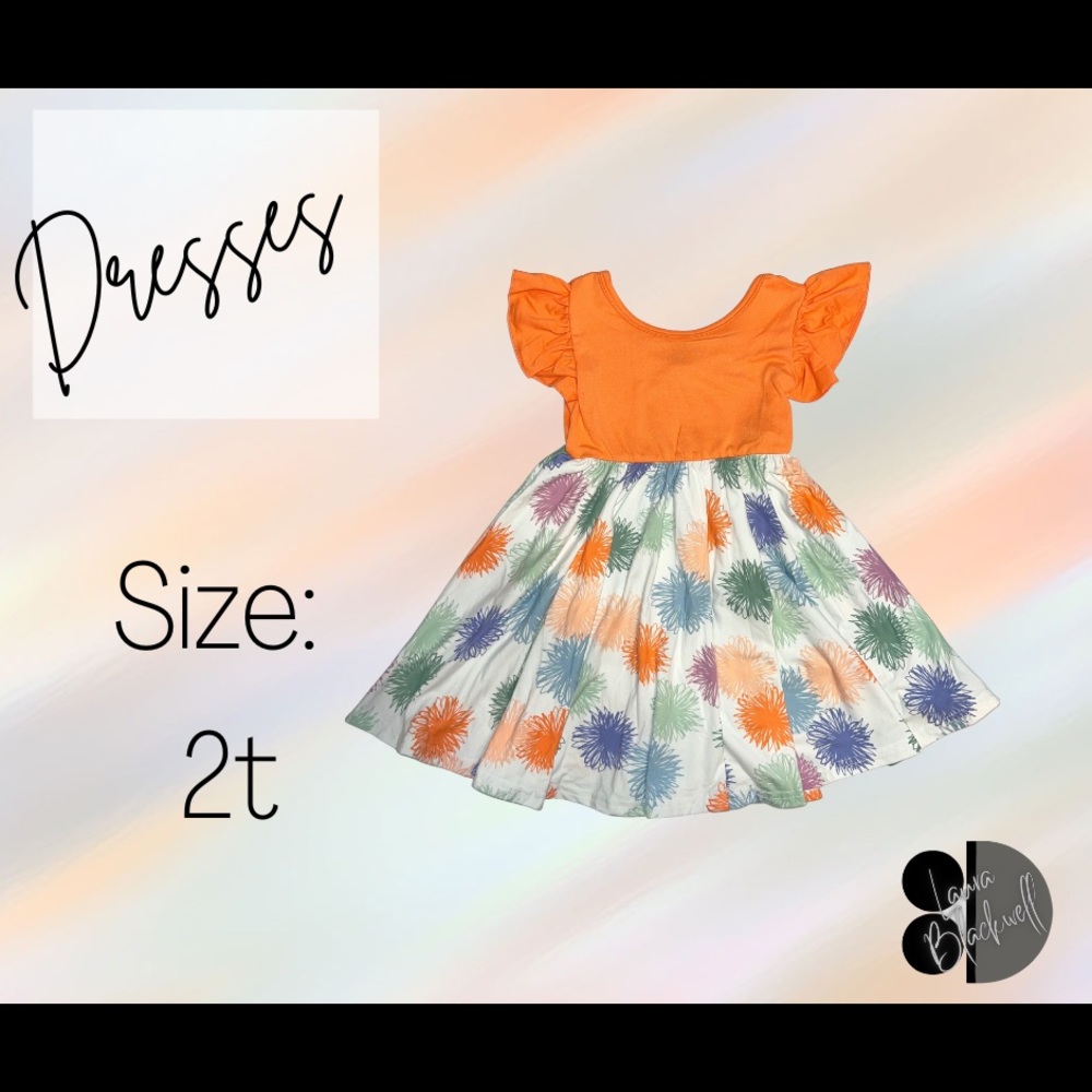 DotDotSmile 2t empire dress. NWT